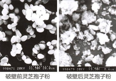 操作簡便等氣流粉碎機(jī)眾多優(yōu)點(diǎn)